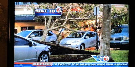 miami-sandy2.jpg miami-sandy2.jpg