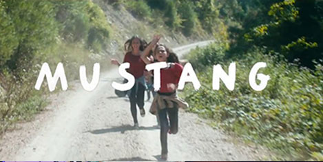 mustang.jpg mustang.jpg