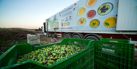 nargurme11.20150902025443.jpg nargurme11.20150902025443.jpg