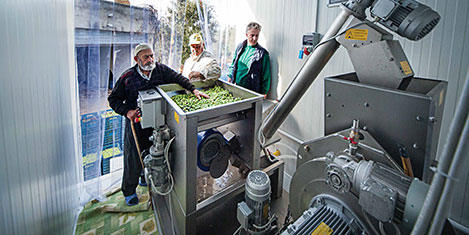 nargurme33.jpg nargurme33.jpg