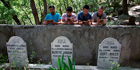 nurs-koyu1-.jpg nurs-koyu1-.jpg