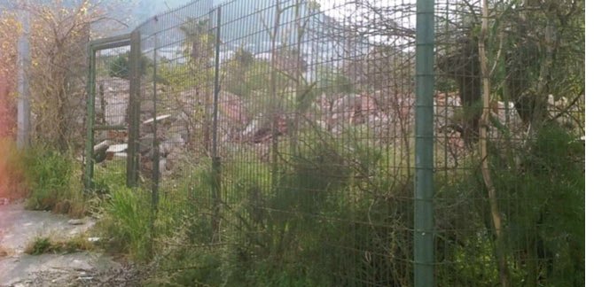 odak-tatil-koyu--002.jpg