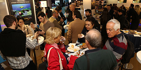 palmarina-2.jpg