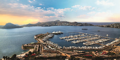 palmarina-7.jpg