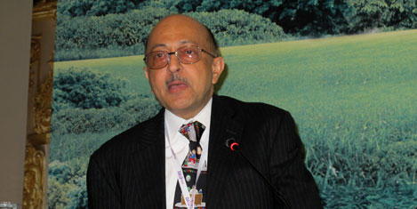 panel-goyal.jpg panel-goyal.jpg