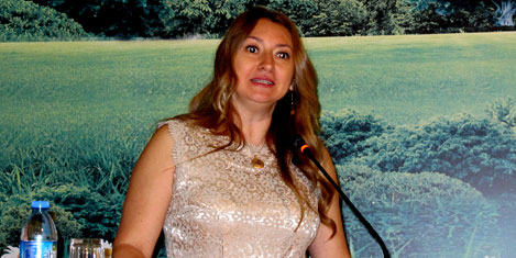 panel-selin1.jpg panel-selin1.jpg