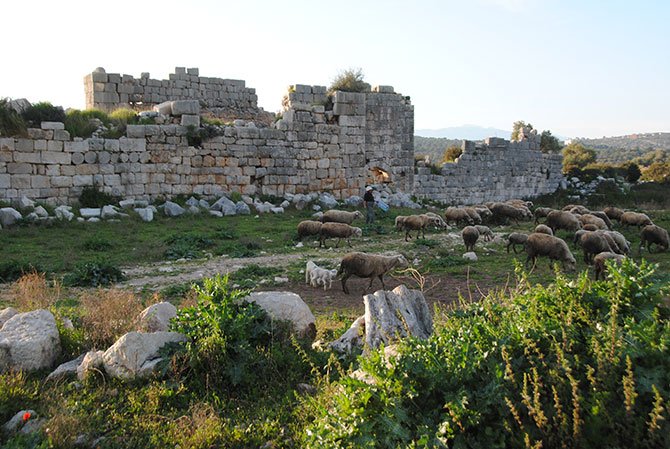 patara-meclisi-018.jpg