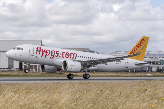 pegasus,-003.jpg