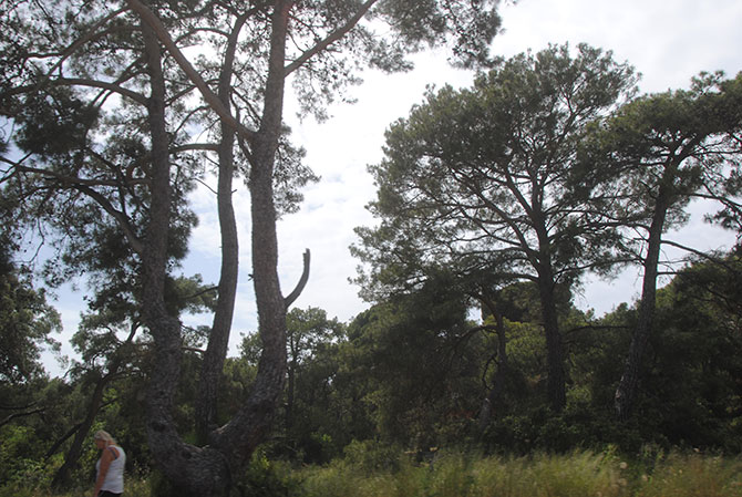 piknik-yapimi-yasaklandi,-antalya-004.jpg