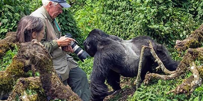 ruanda-gorilla-001.jpg