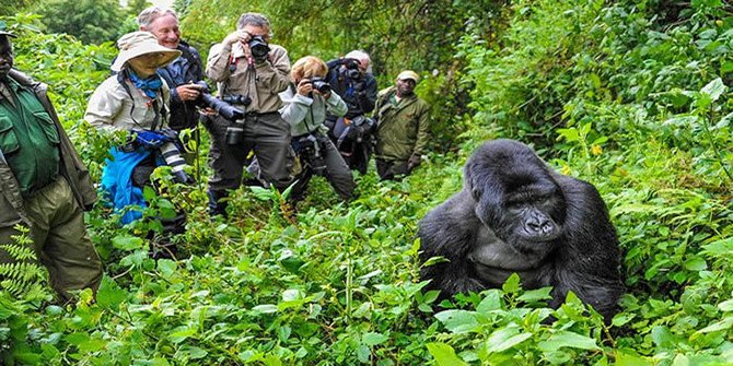 ruanda-gorilla.jpg
