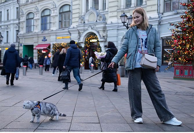 rusya,-kedi.jpg