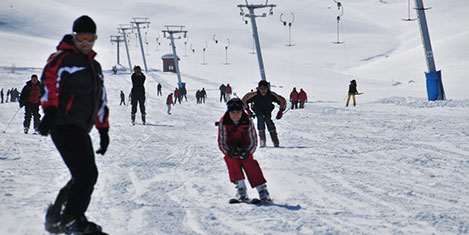 sahmaran12.jpg sahmaran12.jpg