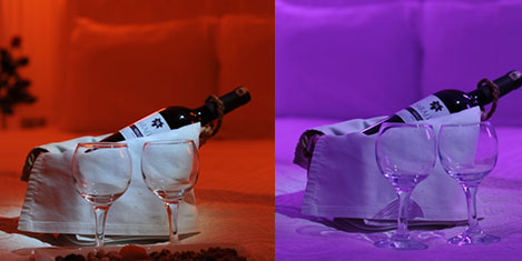 sahmaran7.jpg sahmaran7.jpg