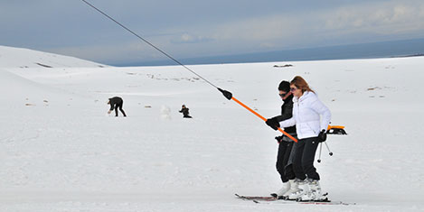 sahmaran9.jpg sahmaran9.jpg