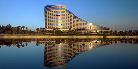 sheraton-adana-kedi-2a.20141015004018.jpg sheraton-adana-kedi-2a.20141015004018.jpg