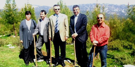 skal-antalya-ormani-3.jpg skal-antalya-ormani-3.jpg