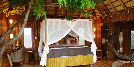 southafrican_honeymoon1.jpg southafrican_honeymoon1.jpg