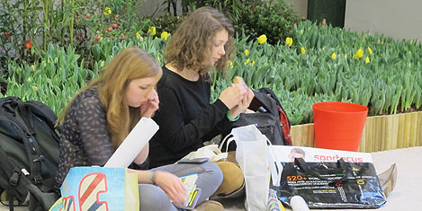 stand-piknik2.jpg stand-piknik2.jpg