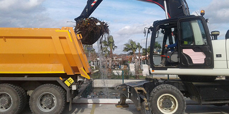 teos-temizlik1.jpg teos-temizlik1.jpg