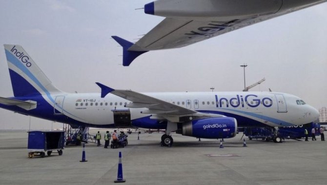 thy-indigo.jpg