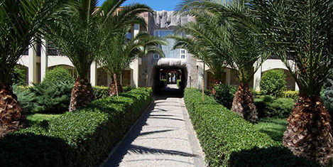 tiana3.jpg tiana3.jpg