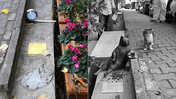 tombili,-istanbul.jpg