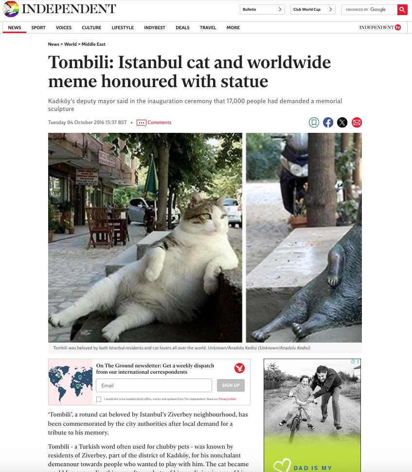 tombili-ingiliz-medyasinda.jpg