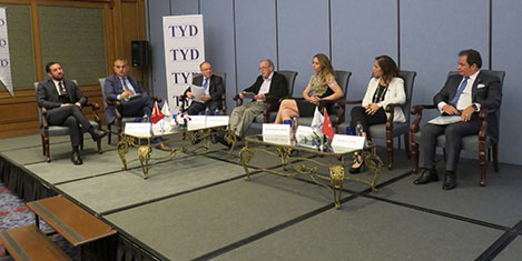 tyd-panel.jpg