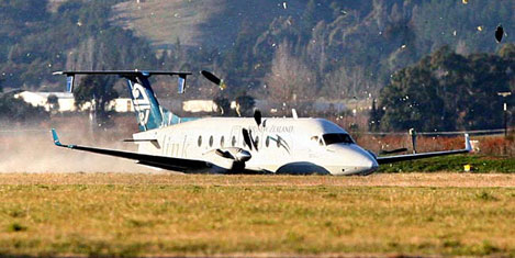 ucak-kus2.jpg ucak-kus2.jpg