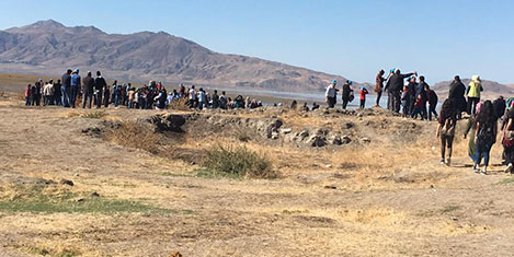 van-flamingo1.jpg van-flamingo1.jpg