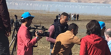 van-flamingo3.jpg van-flamingo3.jpg