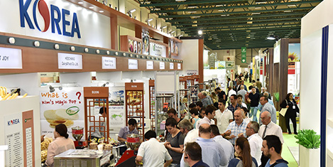 world-food2.20170909152934.jpg world-food2.20170909152934.jpg