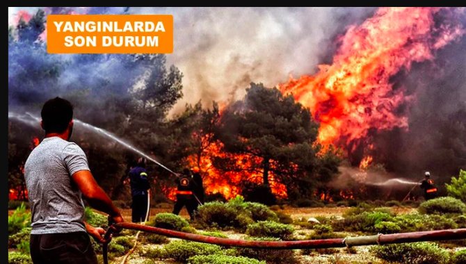 yanginlar.png