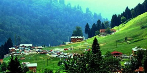 yayla-1.jpg