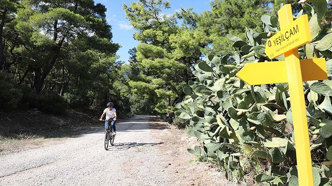 yesilcam-doga-yurusu-ve-bisiklet-yolu.jpg