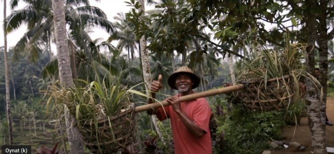 BALI GEZİSİ - 2017